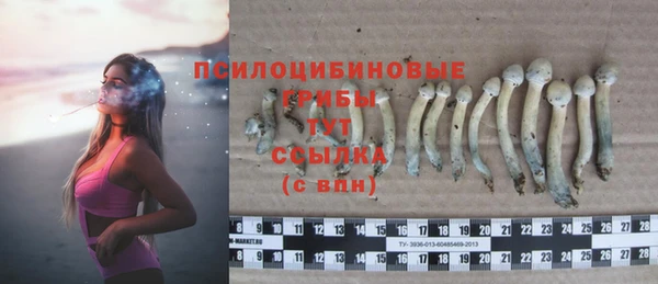 МДПВ Магадан