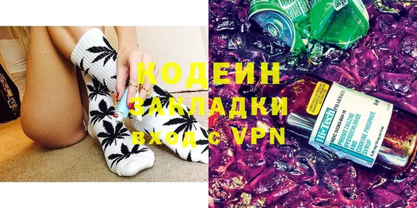 шишки Ачинск
