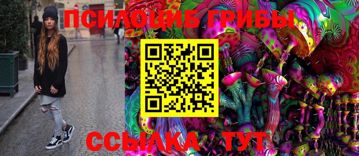 Псилоцибиновые грибы мицелий  Волгоград 