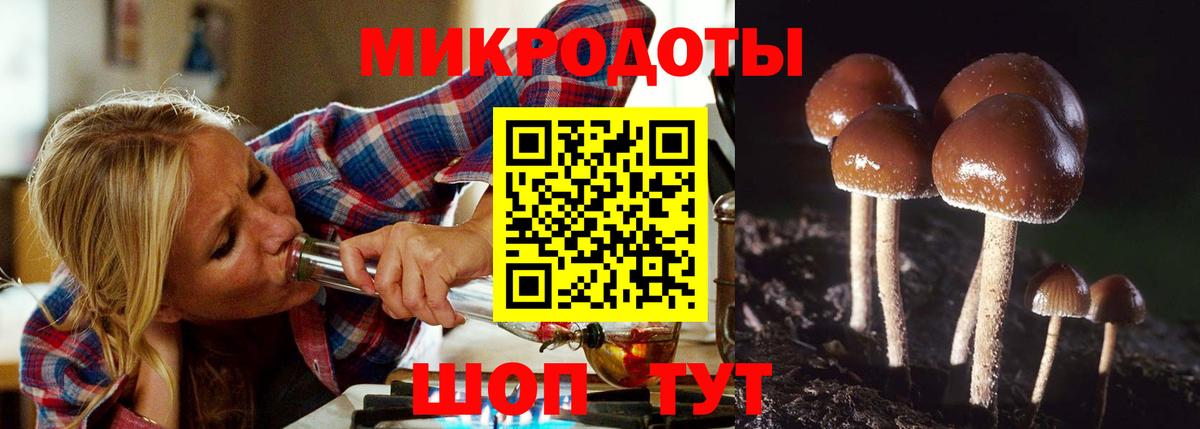 Псилоцибиновые грибы мицелий Волгоград