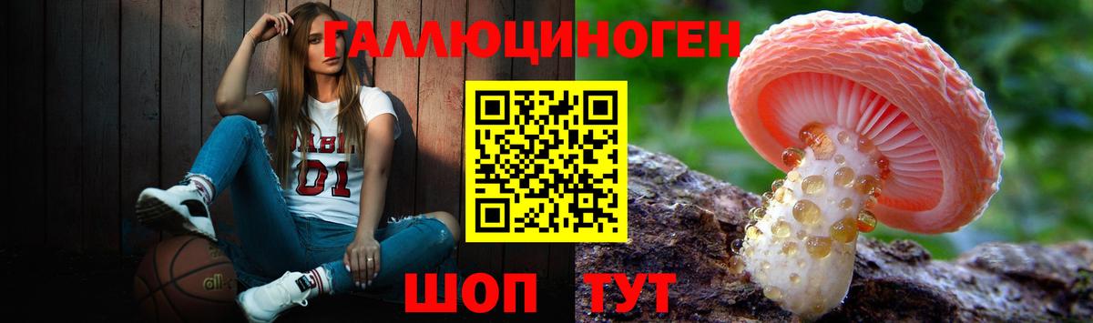 Волгоград  Галлюциногенные грибы MAGIC MUSHROOMS  Вход с VPN 