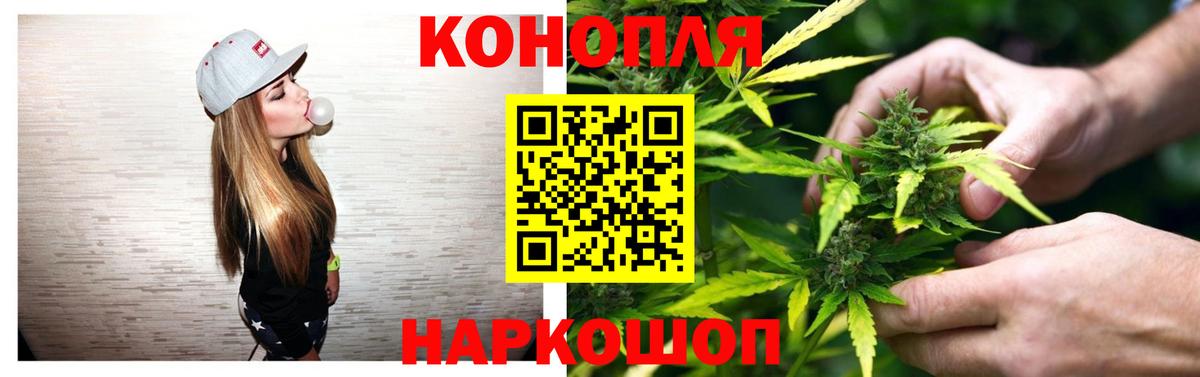 Шишки марихуана планчик Волгоград